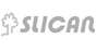 logo-partnerzy-silican.png
